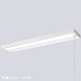IWASAKI 岩崎電気　LEDioc (レディオック)　 LEDベースライト (LEDユニット一体形)　40W形 直付形 ＜250mm幅＞　FLR40形相当 2000lmタイプ 1灯用相当 (プルスイッチ付)　ELD42001CNPPN9