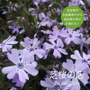 ō iVoUNj GhNbVu[ij10Zbg iꌧE͕ʓrKvɂȂ܂ ) 3 9Z`|bg r[ĎōɗǂT엿I ōXȂ