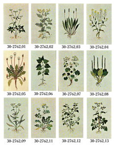  NXXeb` Lbg ㋉ Haandarbejdets Fremmeitj yԁz hイ | f}[N k A CO Gerda Bengtsson iQ_ExOg\j 30-2762,01 ,02 ,03 ,04 ,05 ,06 ,07 ,08 ,0