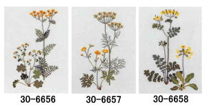 t NXXeb` Lbg hイ y F z Haandarbejdets Fremme f}[N k CO A ㋉ 30-6656 30-6657 30-6658