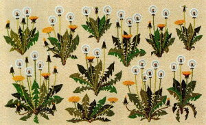 t NXXeb`hJLbg y ۂ z Haandarbejdets Fremme f}[N Mh k A ㋉ 30-4175