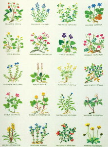 t NXXeb`hJLbg t[ A f}[N k ㋉ 30-5148