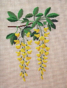 t(Fremme) NXXeb`hイLbg LoitW A Q_ExOg\ f}[N k ㋉ 30-6801