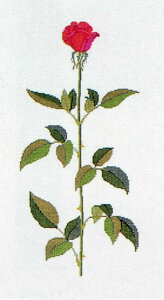 NXXeb` Lbg ㋉ t y oJ[Y z f}[N k hJ A 30-3861