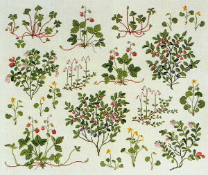 t NXXeb`hJLbg yX̃x[z A f}[N k ㋉ 30-4475