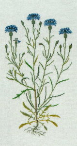 t NXXeb` Lbg hイ y O}MN z Haandarbejdets Fremme f}[N k CO A ㋉ 30-3168