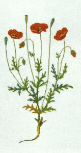 t NXXeb` hイ Lbg y PV z Haandarbejdets Fremme f}[N Mh k A ㋉ 30-2898