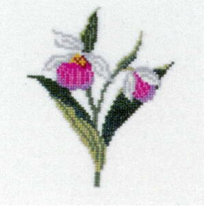 yDM֑Ήzt Lady's slipper,Minnesota NC[YEfB[XXbp/~l\^B 12B NXXeb` Haandarbejdets Fremme Lbg f}[N hイ Mh k GB 30-2970,22
