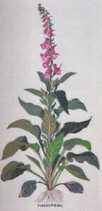 t NXXeb`hJLbg yWL^Xz A f}[N k ㋉ 30-5684