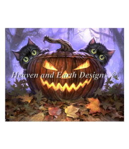 NXXeb`} `[g HAED | ㋉ y|Lz Mini Scaredy Cats