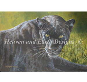 Heaven And Earth Designs �N���X�X�e�b�`�h�J�}�� HAED �A�� �㋉�� Stephen Gayford ���̖��p Black Magic �S�ʎh��