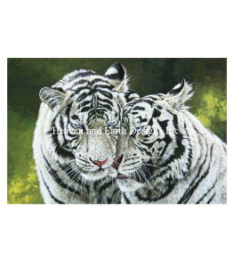 Stephen Gayford NXXeb`hイ`[g HAED } yMini Close Companionsz Heaven And Earth Designs Ƃ  g zCg^CK[