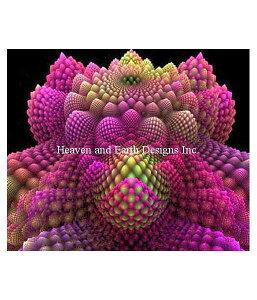 Heaven And Earth Designs NXXeb`hJ} HAED A ㋉ HAED Originals tN^ Fractal 4 Sʎh