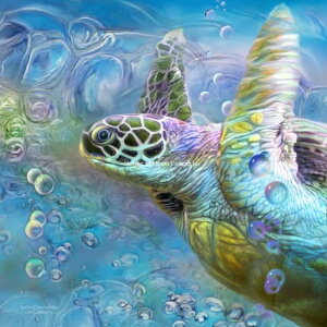 NXXeb`hJ} Heaven And Earth Designs HAED A ㋉ Carol Cavalaris fGȋRƃE~K Mini Sea Turtle Spirit Of Serendipity Sʎh