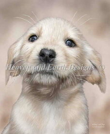 クロスステッチ刺繍図案 Heaven And Earth Designs HAED 輸入 上級者 Carol Cavalaris ラブラドールの子犬 Yellow Lab Pup 全面刺し