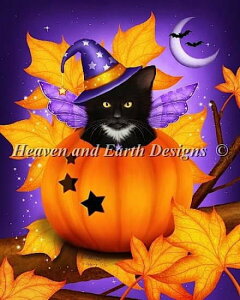 NXXeb`} `[g HAED | ㋉ ypvLELbgE}WbNz Mini Pumpkin Cat Magic