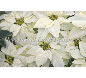 Heaven And Earth Designs �N���X�X�e�b�`�h�J�}�� HAED �㋉�� Daniel Brient �|�C���Z�`�A Harmony In Whites �S�ʎh��
