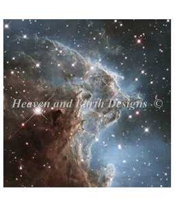 Heaven And Earth Designs NXXeb`hJ} HAED A ㋉ NASA Images ̐_ Monkey Head Nebula Sʎh