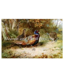 Archibald Thorburn A[`{[hE\Ao[  yAutumn Covert-H̉JH-z HAED NXXeb`hJ} Heaven And Earth Designs A ㋉ Sʎh