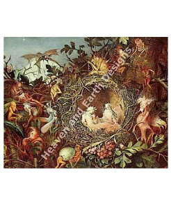 John Anster FitzgeraldiAX^[EtBbcWFhj  yFairies in a Nestz HAED NXXeb`hイ } Heaven And Earth Designs A `[g p G |pi