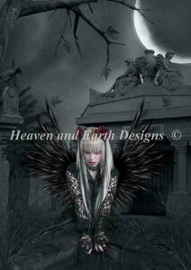 イ} HAED Heaven And Earth Designs NXXeb` A Fred Winkler LA Kiara ㋉ Sʎh