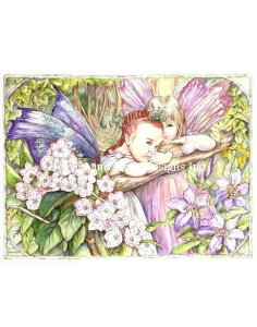 HAED �h���イ�N���X�X�e�b�`�`���[�g �d���̎q�� Heaven And Earth Designs �A�� Morgan Fitzsimons �㋉�� Fairy Children �}��