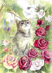 HAED hイNXXeb``[g qLx Heaven And Earth Designs A Morgan Fitzsimons ㋉ Kitten And The Dragonfly } Sʎh