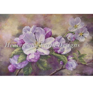 HAED NXXeb`イ} ь̉ Heaven And Earth Designs A Marianne Broome ㋉ Apple Blossom Sʎh