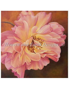 HAED NXXeb`イ} _XeB[Y Heaven And Earth Designs A Marianne Broome ㋉ Dusty Rose Sʎh