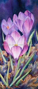 HAED NXXeb`イ} t̖KԁANbJX Heaven And Earth Designs A Marianne Broome ㋉ First Of Spring Sʎh