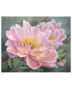 NXXeb`} `[g HAED | ㋉ yŐPz Mini Peony Glow