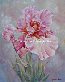 HAED クロスステッチししゅう図案 ピンク・アイリス Heaven And Earth Designs 輸入 Marianne Broome 上級者 Pink Iris 全面刺し
