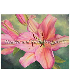 HAED クロスステッチししゅう図案 ピンク・リリー Heaven And Earth Designs 輸入 Marianne Broome 上級者 Pink Lily 全面刺し