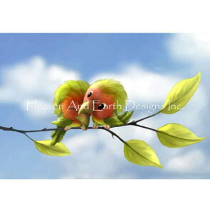 NXXeb`イ} HAED A ㋉ Tammara Markegard uEo[h Love Birds TM `[g