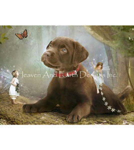 Heaven And Earth Designs �N���X�X�e�b�`�h���イ�}�� HAED Charlotte Bird �㋉�� QS The Lost Ball �S�ʎh��