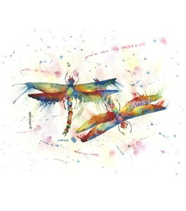 �N���X�X�e�b�`�����イ�}�� �g���{�̋��� Heaven And Earth Designs David Bartholet �㋉�� Dragonfly Courtship