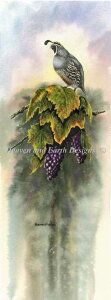 �h���イ�N���X�X�e�b�`�}�� �u�h�E���̃E�Y�� Heaven And Earth Designs David Bartholet �㋉�� Vineyard Quail �S�ʎh��
