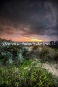 イNXXeb``[g _GbvEr[`̊C݂̗[Ă Heaven And Earth Designs A Geoff Pritchard ㋉ Coastal Sunsets Dalyellup Beach