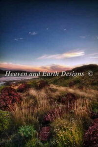 �����イ�N���X�X�e�b�`�`���[�g �����̊R�̉� Heaven And Earth Designs Geoff Pritchard �㋉�� Desert Cliff Flowers