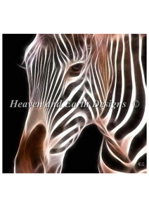 NXXeb`イ`[g [u Heaven And Earth Designs A Erik Shipley ㋉ Zebra ES