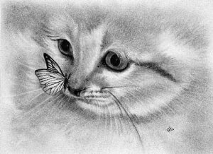 NXXeb`イ`[g VȎn܂ Heaven And Earth Designs A Katerina Koukiotis ㋉ New Beginnings