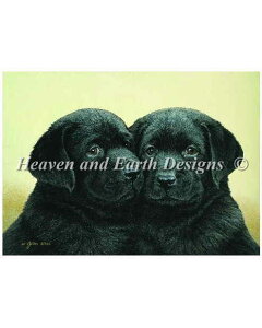 HAED | NXXeb`hイ} John Weiss y_uEguz Double Trouble Weiss