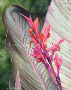 Teri Rosario NXXeb`hイ`[g HAED } yTropical Splendor Max Colorsz Heaven And Earth Designs