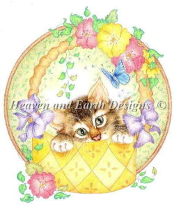 HAED | NXXeb`hJ`[g yĂ̑蕨z Summer Gift