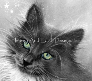 NXXeb`hJ`[g HAED ㋉ | yLeBE}WbNz QS Kitty Magic