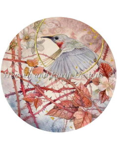 NXXeb` hJ `[g HAED | yCoꂸɁz Unafraid Of The Thorns