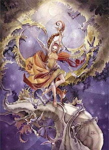 NXXeb` hJ `[g HAED | y^钆̑zƃ~[Yz Muse of the Midnight Sun