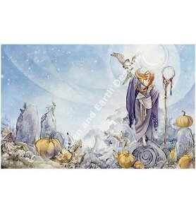 NXXeb` hJ `[g HAED | y̋z Night Sky Spins