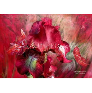 NXXeb` hJ `[g HAED | yM̏_z Goddess Of Passion