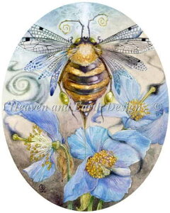 NXXeb` hJ `[g HAED | yW{ƃu[|s[z Unusual Specimens